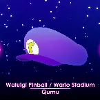 Pochette Waluigi Pinball / Wario Stadium