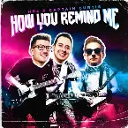 Pochette How You Remind Me