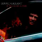 Pochette If We Had a Fire