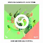 Pochette Hide & Seek (5ALVO remix)