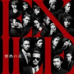 Pochette 情熱の花