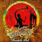 Pochette Spiritual Revolution