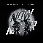 Pochette Now or Never
