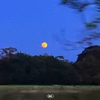 Pochette Troubled Ones