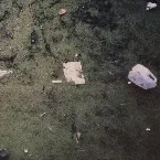 Pochette Imperial Distortion