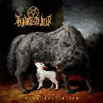 Pochette Dear Desolation