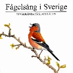 Pochette Fågelsång i Sverige