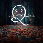 Pochette No Me Quieres
