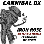 Pochette Iron Rose (Skylab 3 remix)