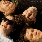 Pochette Lying Here, Wasting Away