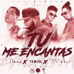 Pochette Tú me encantas