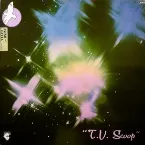 Pochette T.V. Scoop