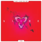 Pochette Fire