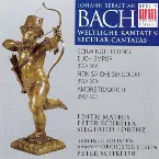 Pochette Weltliche Kantaten: Schwingt freudig euch empor BWV 36c / Non sa che sia dolore BWV 209 / Amore traditore BWV 203