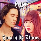 Pochette Two in the Ruins