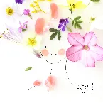 Pochette Happy Me