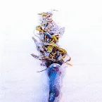 Pochette Archaic Oceans