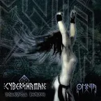 Pochette Cybershaman: Paganfolk Remixes