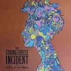 Pochette Song in My Head