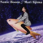 Pochette Sonic Boom