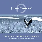 Pochette The Flight of the Wild Gander: Explorations in the Mythological Dimension