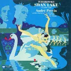 Pochette Swan Lake
