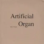 Pochette Artificial Organ