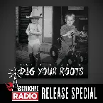 Pochette Dig Your Roots (Big Machine Radio Release Special)