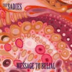 Pochette Message to Belial