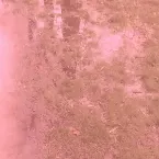 Pochette Shadowless Goons