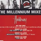 Pochette The Millennium Mixes