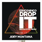 Pochette Drop It (reggaeton remix)