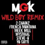 Pochette Wild Boy (remix)