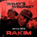 Pochette What'$ Wrong