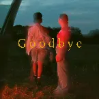Pochette Goodbye