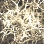 Pochette Entelecheia