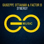 Pochette Synergy
