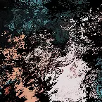 Pochette Butterfly Effect