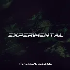 Pochette Experimental