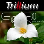 Pochette Trillium