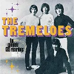 Pochette The Tremeloes