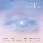 Pochette Che sogno incredibile