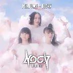 Pochette Flow (Noc.V Bootleg)