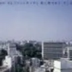 Pochette 風に吹かれて