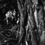 Pochette Near the Flogging Landscape