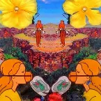 Pochette Saturday Night Groove Sessions