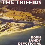 Pochette Born Sandy Devotional