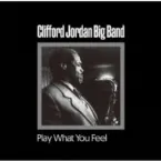 Pochette Play What You Feel