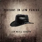 Pochette Friends in Low Places (Metal version)