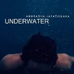 Pochette Underwater